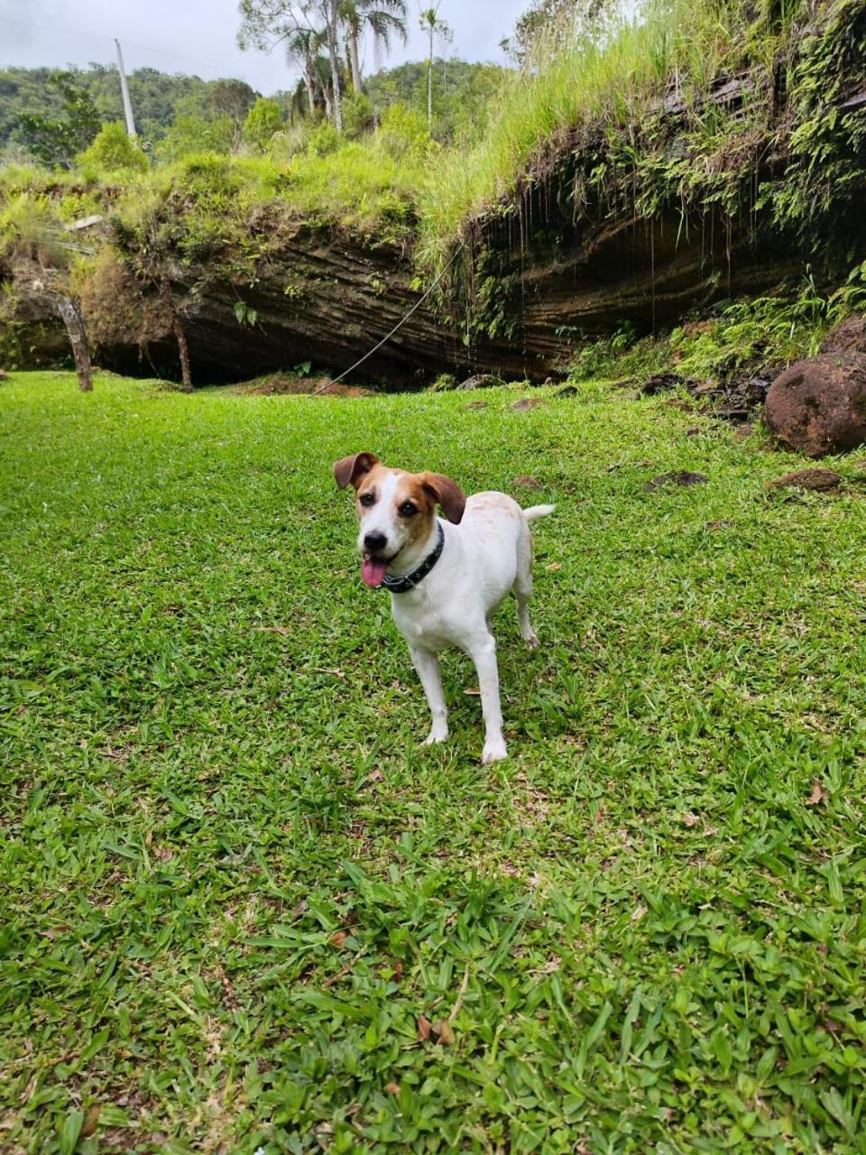 Morada Da Pedra Villa Praia Grande  Buitenkant foto